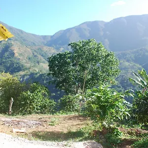 https://jays-guest-house.comcaribbean.com